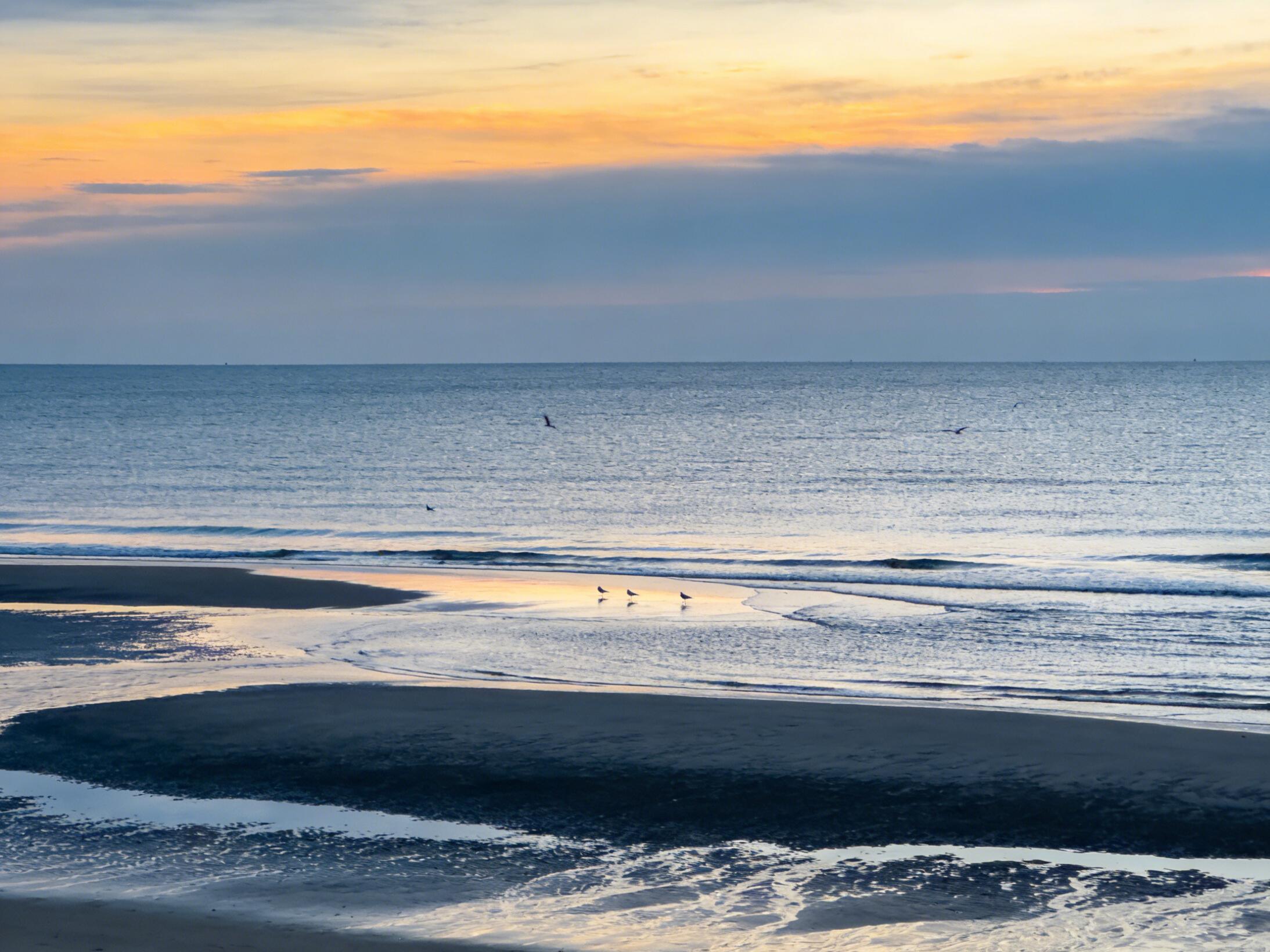 Best Corrosion-Resistant Materials for Pipes and Components in Seawater Desalination Systems