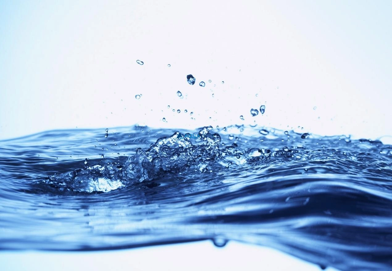 How-to-Make-Reverse-Osmosis-(RO)-Water-Safe-to-Drink How to Make Reverse Osmosis (RO) Water Safe to Drink