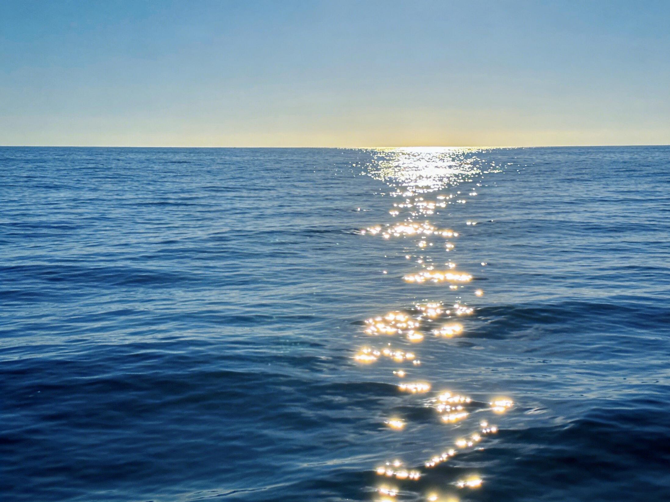 How to Quickly Determine If a Seawater RO Membrane Has Suffered Severe Scaling or Fouling