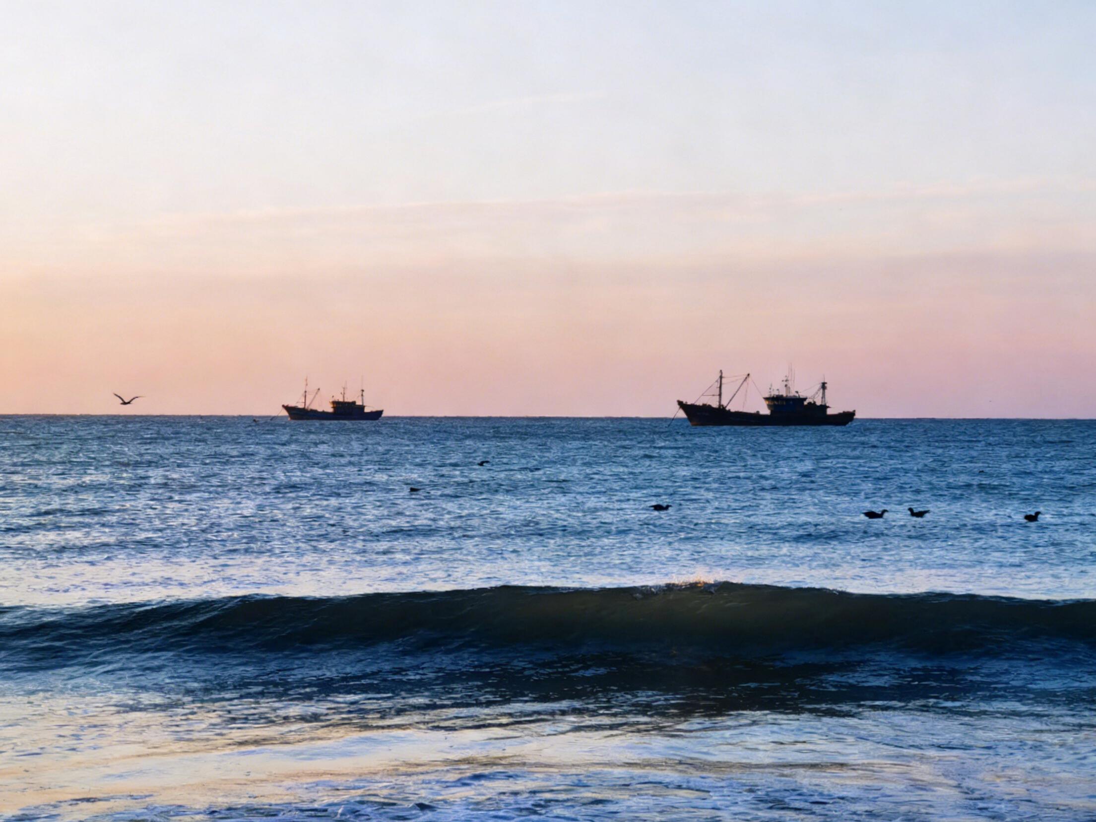 Key Differences Between Cleaning Agent Formulations for Seawater RO Membranes and Brackish Water RO Membranes