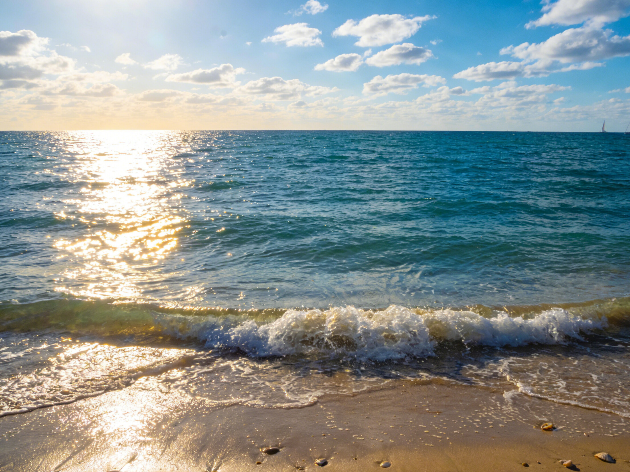 Which Online Monitoring Instrument in a Seawater RO System Requires the Most Accurate and Frequent Calibration (1)